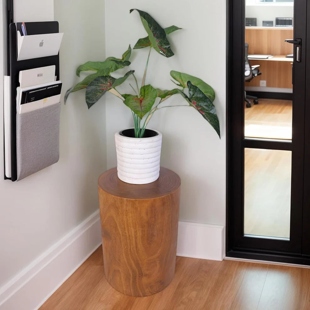 Wooden Tree Stump End Table, Rustic Wood Side Table, Wood Stump for Plant Stand Decor Nightstands Stool Indoor Outdoor